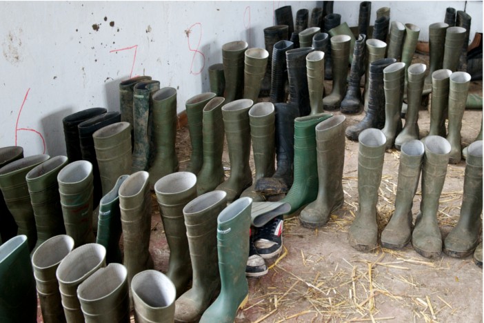 Muddy Boots from working on the farm