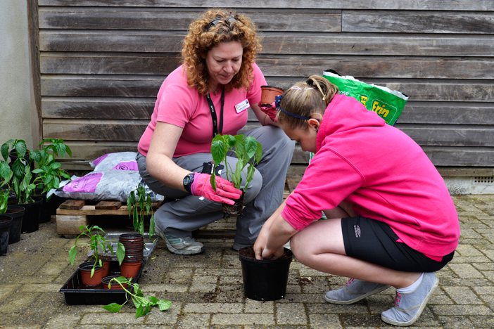 teacher and pupil transplant seedlings wearing bright pink tops